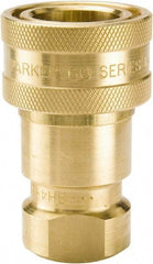 Parker - 3/8 NPTF Brass Hydraulic Hose Female Pipe Thread Coupler - 1,000 psi, 6 GPM - Industrial Tool & Supply