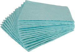 Brady SPC Sorbents - 21 Gal Capacity per Package, Chemical/Hazmat Pad - 1' Long x 1' Wide, Green, Polypropylene - Industrial Tool & Supply