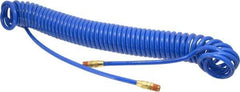 Coilhose Pneumatics - 1/4" ID, 1/4 Thread, 30' Long, Blue Polyurethane Coiled & Self Storing Hose - 125 Max psi, Male Swivel x Male Swivel - Industrial Tool & Supply