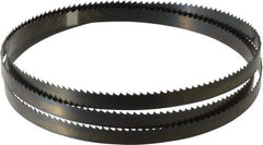 Disston - 6 TPI, 5' 4-1/2" Long x 1/2" Wide x 0.025" Thick, Welded Band Saw Blade - Carbon Steel, Toothed Edge, Raker Tooth Set, Hard Back, Contour Cutting - Industrial Tool & Supply