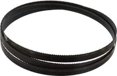 Disston - 10 TPI, 5' 4-1/2" Long x 1/2" Wide x 0.025" Thick, Welded Band Saw Blade - Carbon Steel, Toothed Edge, Raker Tooth Set, Hard Back, Contour Cutting - Industrial Tool & Supply