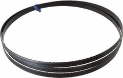 Disston - 10 TPI, 7' 9-1/2" Long x 1/2" Wide x 0.025" Thick, Welded Band Saw Blade - Carbon Steel, Toothed Edge, Raker Tooth Set, Hard Back, Contour Cutting - Industrial Tool & Supply