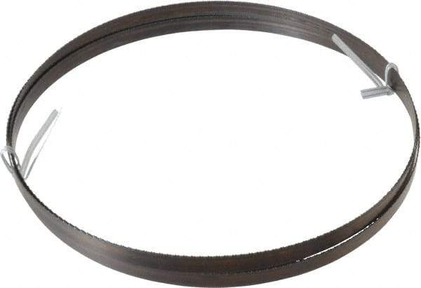 Disston - 18 TPI, 7' 9-1/2" Long x 1/2" Wide x 0.025" Thick, Welded Band Saw Blade - Carbon Steel, Toothed Edge, Raker Tooth Set, Hard Back, Contour Cutting - Industrial Tool & Supply