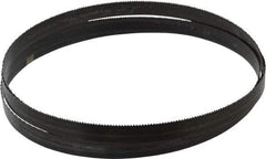 Disston - 10 TPI, 8' Long x 3/4" Wide x 0.032" Thick, Welded Band Saw Blade - Carbon Steel, Toothed Edge, Raker Tooth Set, Hard Back, Contour Cutting - Industrial Tool & Supply
