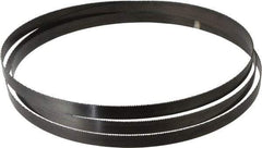 Disston - 10 TPI, 10' 5" Long x 3/4" Wide x 0.032" Thick, Welded Band Saw Blade - Carbon Steel, Toothed Edge, Raker Tooth Set, Hard Back, Contour Cutting - Industrial Tool & Supply