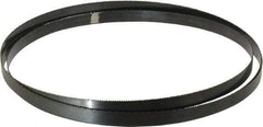 Disston - 10 TPI, 10' 10-1/2" Long x 3/4" Wide x 0.032" Thick, Welded Band Saw Blade - Carbon Steel, Toothed Edge, Raker Tooth Set, Hard Back, Contour Cutting - Industrial Tool & Supply