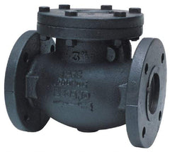 Legend Valve - 4" Cast Iron Check Valve - Inline, Flanged - Industrial Tool & Supply