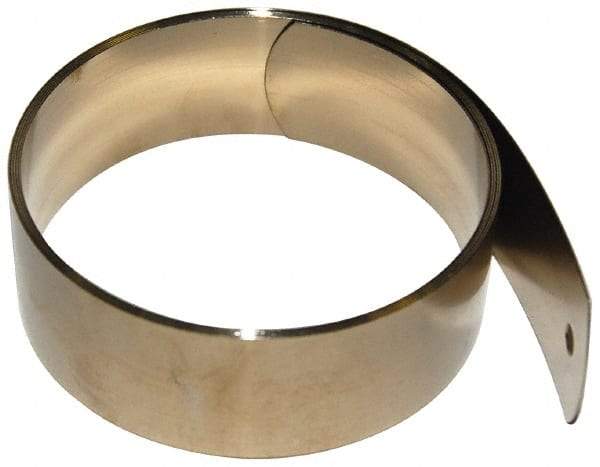 Gardner Spring - 0.012" Thick x 42" Long, 1.12 Lb Capacity Constant Force Spring - 0.81" Wide, 2.26" ID of Reflection, 4.07" Initial Extension, 0.187" End Hole Diam - Industrial Tool & Supply
