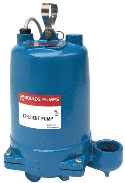 Goulds Pumps - 1/2 hp, 115 Amp Rating, 115 Volts, Capacitor Start Operation, Effluent Pump - 1 Phase, Cast Iron Housing - Industrial Tool & Supply