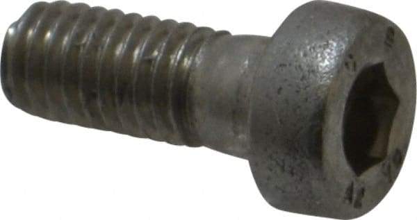 Value Collection - M5x0.80 Metric Coarse Hex Socket Drive, Low Socket Cap Screw - Grade 18-8 & Austenitic A2 Stainless Steel, Uncoated, Fully Threaded, 12mm Length Under Head - Industrial Tool & Supply