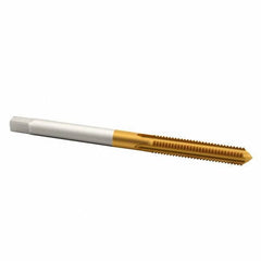 Cleveland - #10-32 UNF 2B 4 Flute TiN Finish High Speed Steel Straight Flute Standard Hand Tap - Plug, Right Hand Thread, 2-3/8" OAL, 7/8" Thread Length, H3 Limit, Oversize - Exact Industrial Supply
