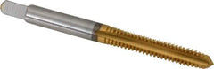 Cleveland - #12-24 UNC 2B/3B 4 Flute TiN Finish High Speed Steel Straight Flute Standard Hand Tap - Plug, Right Hand Thread, 2-3/8" OAL, 15/16" Thread Length, H3 Limit, Oversize - Exact Industrial Supply