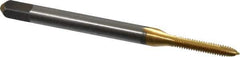 Cleveland - #2-56 UNC, 2 Flute, TiN Finish, High Speed Steel Spiral Point Tap - Plug Chamfer, Right Hand Thread, 44.45mm OAL, 0.44" Thread Length, 2B Class of Fit, Series 1011TN - Exact Industrial Supply