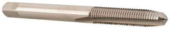 Cle-Line - 1/2-13 UNC 3B 4 Flute Bright Finish High Speed Steel Straight Flute Standard Hand Tap - Bottoming, Right Hand Thread, 3-3/8" OAL, 1-21/32" Thread Length, H3 Limit, Oversize - Exact Industrial Supply