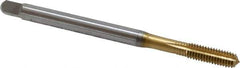 Emuge - #12-28 UNF 2BX Modified Bottoming Thread Forming Tap - Cobalt, TiN Finish, 3.15" OAL, 0.63" Thread Length, Right Hand Thread, Series Rekord Druck-S - Exact Industrial Supply