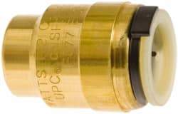 Watts - 1/2" Outside Diam, Lead Free Brass Push-to-Connect Tube End Stop - 250 Max psi, Tube to Tube Connection, EPDM O-Ring, Lead-Free - Industrial Tool & Supply