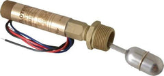 Dwyer - 1" Thread, 200 Max psi, 220°F Max, Liquid Level Float - 0.5 Float SG, Stainless Steel Stem - Industrial Tool & Supply