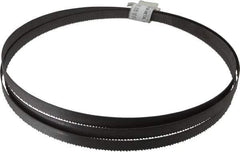 Irwin Blades - 10 TPI, 7' 5" Long x 1/2" Wide x 0.035" Thick, Welded Band Saw Blade - Bi-Metal, Toothed Edge, Raker Tooth Set - Industrial Tool & Supply