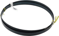 Starrett - 10 TPI, 8' 11" Long x 3/4" Wide x 0.032" Thick, Welded Band Saw Blade - Carbon Steel, Toothed Edge, Raker Tooth Set, Flexible Back, Contour Cutting - Industrial Tool & Supply