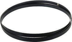 Starrett - 6 TPI, 10' 5" Long x 3/4" Wide x 0.032" Thick, Welded Band Saw Blade - Carbon Steel, Toothed Edge, Raker Tooth Set, Flexible Back, Contour Cutting - Industrial Tool & Supply