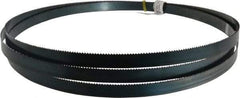 Starrett - 8 TPI, 10' 10-1/2" Long x 3/4" Wide x 0.032" Thick, Welded Band Saw Blade - Carbon Steel, Toothed Edge, Raker Tooth Set, Flexible Back, Contour Cutting - Industrial Tool & Supply