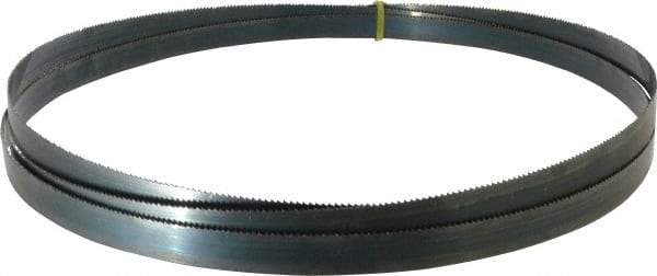 Starrett - 10 TPI, 10' 10-1/2" Long x 3/4" Wide x 0.032" Thick, Welded Band Saw Blade - Carbon Steel, Toothed Edge, Raker Tooth Set, Flexible Back, Contour Cutting - Industrial Tool & Supply