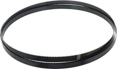 Starrett - 6 TPI, 11' 6" Long x 3/4" Wide x 0.032" Thick, Welded Band Saw Blade - Carbon Steel, Toothed Edge, Raker Tooth Set, Flexible Back, Contour Cutting - Industrial Tool & Supply