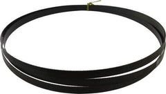 Starrett - 10 TPI, 12' 1" Long x 3/4" Wide x 0.032" Thick, Welded Band Saw Blade - Carbon Steel, Toothed Edge, Raker Tooth Set, Flexible Back, Contour Cutting - Industrial Tool & Supply