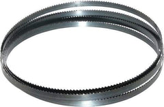 Starrett - 6 TPI, 12' 6" Long x 1/2" Wide x 0.025" Thick, Welded Band Saw Blade - Carbon Steel, Toothed Edge, Raker Tooth Set, Flexible Back, Contour Cutting - Industrial Tool & Supply