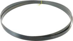 Starrett - 6 TPI, 14' Long x 1" Wide x 0.035" Thick, Welded Band Saw Blade - Carbon Steel, Toothed Edge, Raker Tooth Set, Flexible Back, Contour Cutting - Industrial Tool & Supply
