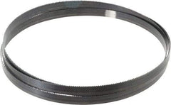 Starrett - 10 TPI, 7' 9" Long x 5/8" Wide x 0.032" Thick, Welded Band Saw Blade - Carbon Steel, Toothed Edge, Raker Tooth Set, Flexible Back, Contour Cutting - Industrial Tool & Supply