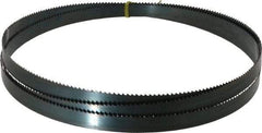 Starrett - 6 TPI, 9' Long x 3/4" Wide x 0.032" Thick, Welded Band Saw Blade - Carbon Steel, Toothed Edge, Raker Tooth Set, Flexible Back, Contour Cutting - Industrial Tool & Supply