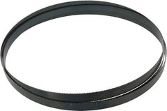 Starrett - 10 TPI, 9' 6" Long x 3/4" Wide x 0.032" Thick, Welded Band Saw Blade - Carbon Steel, Toothed Edge, Raker Tooth Set, Flexible Back, Contour Cutting - Industrial Tool & Supply