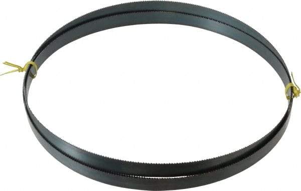 Starrett - 10 TPI, 9' 7-1/2" Long x 3/4" Wide x 0.032" Thick, Welded Band Saw Blade - Carbon Steel, Toothed Edge, Raker Tooth Set, Flexible Back, Contour Cutting - Industrial Tool & Supply