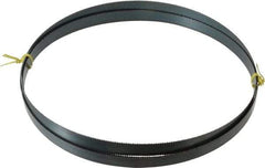 Starrett - 10 TPI, 9' 7-1/2" Long x 3/4" Wide x 0.032" Thick, Welded Band Saw Blade - Carbon Steel, Toothed Edge, Raker Tooth Set, Flexible Back, Contour Cutting - Industrial Tool & Supply