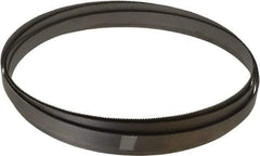 Starrett - 10 to 14 TPI, 14' 8" Long x 3/4" Wide x 0.035" Thick, Welded Band Saw Blade - Bi-Metal, Toothed Edge, Raker Tooth Set, Contour Cutting - Industrial Tool & Supply