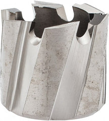 Hougen - 17mm Diam x 1/4" Deep High Speed Steel Annular Cutter - Industrial Tool & Supply