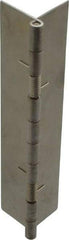 Value Collection - 5" Long x 2" Wide x 0.05" Thick, Spring Hinge - Stainless Steel - Industrial Tool & Supply