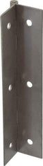 Value Collection - 5" Long x 2" Wide x 0.05" Thick, Spring Hinge - Stainless Steel - Industrial Tool & Supply