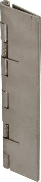 Value Collection - 5" Long x 2" Wide x 0.05" Thick, Spring Hinge - Stainless Steel - Industrial Tool & Supply