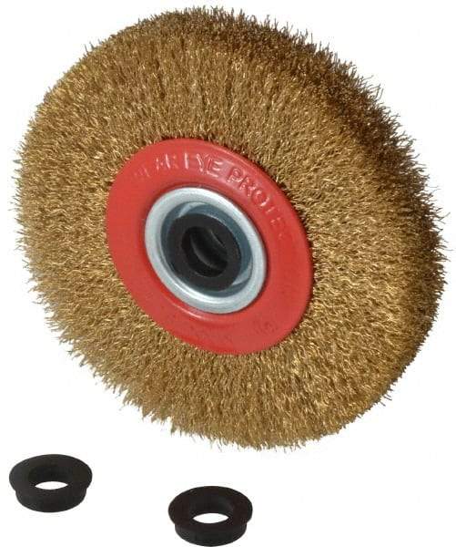 Value Collection - 5" OD, 3/4" Arbor Hole, Crimped Brass-Coated Steel Wheel Brush - 1" Face Width, 1-3/32" Trim Length, 0.012" Filament Diam, 6,000 RPM - Industrial Tool & Supply