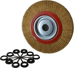 Value Collection - 10" OD, 1-1/4" Arbor Hole, Crimped Brass-Coated Steel Wheel Brush - 1" Face Width, 1-15/32" Trim Length, 0.012" Filament Diam, 3,000 RPM - Industrial Tool & Supply
