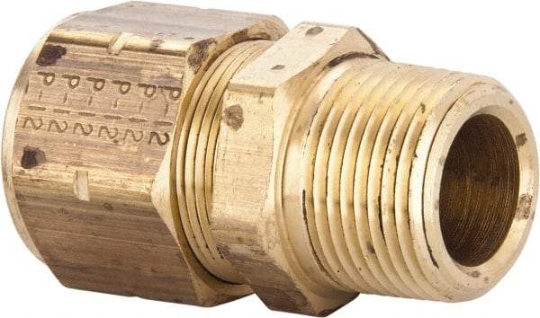 Parker - 3/4" OD, Brass Male Connector - 100 Max Working psi, 1-3/16" Hex, Comp x MNPT Ends - Industrial Tool & Supply