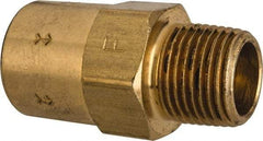 Specialty Mfr - 3/8" Brass Check Valve - Inline, FNPT x MNPT, 500 WOG - Industrial Tool & Supply