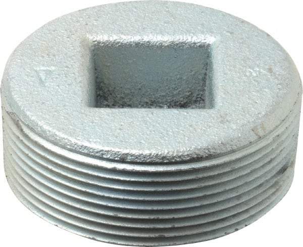 Cooper Crouse-Hinds - 2" Trade, Cast Iron Threaded Rigid/Intermediate (IMC) Conduit Plug - Noninsulated - Industrial Tool & Supply