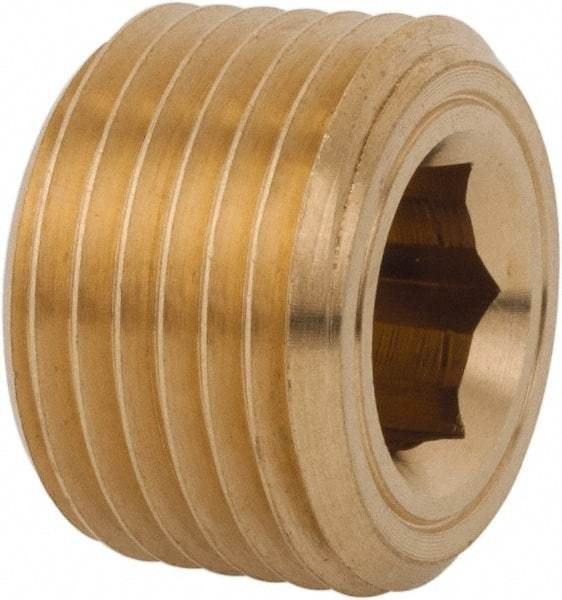 Legris - 1/2 Male Thread, Brass Industrial Pipe Hollow Hex Plug - MBSPT, 3,626 psi - Industrial Tool & Supply