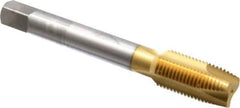 OSG - 1/2-20 UNF, 3 Flute, TiN Finish, High Speed Steel Spiral Point Tap - Plug Chamfer, Right Hand Thread, 3-3/8" OAL, 1-21/32" Thread Length, 0.367" Shank Diam, 2B Class of Fit, Series 288 - Exact Industrial Supply