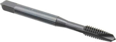 OSG - #12-24 UNC, 2 Flute, Oxide Finish, High Speed Steel Spiral Point Tap - Plug Chamfer, Right Hand Thread, 2-3/8" OAL, 15/16" Thread Length, 0.22" Shank Diam, 2B Class of Fit, Series 288 - Exact Industrial Supply