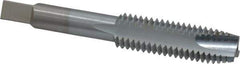 Made in USA - 1/2-13 UNC, 3 Flute, Chrome Finish, High Speed Steel Spiral Point Tap - Plug Chamfer, Right Hand Thread, 3-3/8" OAL, 1-21/32" Thread Length, 0.367" Shank Diam, 3B Class of Fit - Exact Industrial Supply