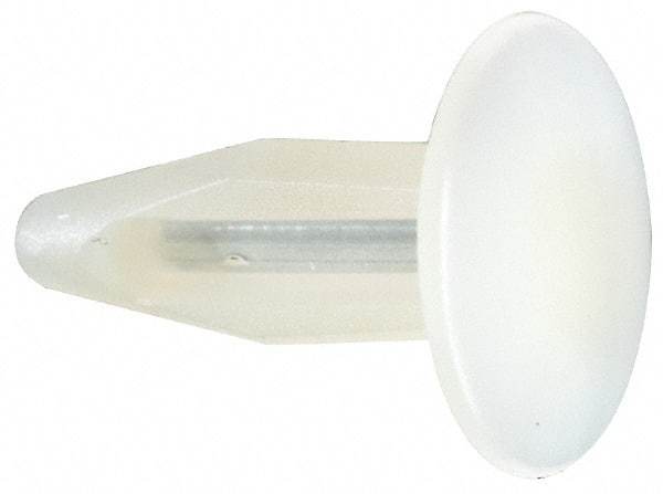 Made in USA - 1/4" to 0.26" Hole Diam, 7/8" OAL, Arrow Shank, Nylon Panel Rivet - 0.81" Length Under Head, 0.36" to 0.38" Material Thickness, 0.615" Head Diam - Industrial Tool & Supply